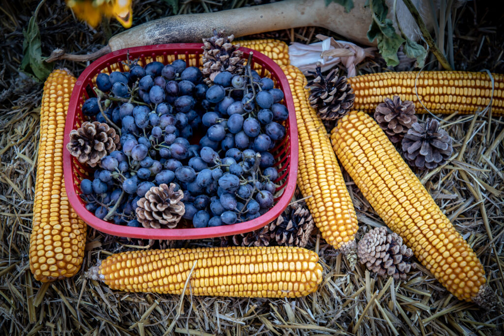 How Do I Grill Corn On The Cob With Husks?